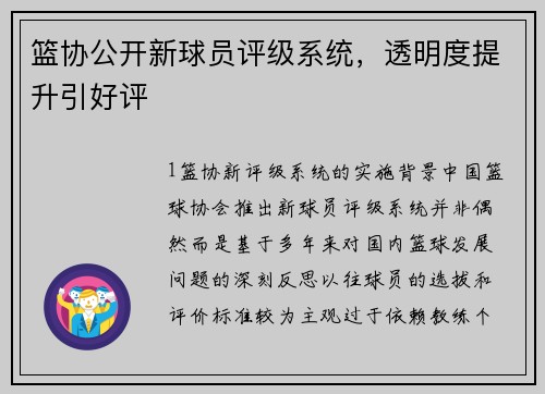 篮协公开新球员评级系统，透明度提升引好评